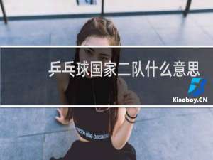 乒乓球国家二队什么意思