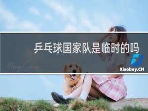 乒乓球国家队是临时的吗