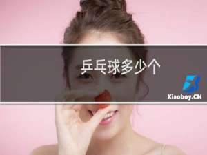 乒乓球多少个