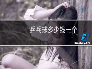 乒乓球多少钱一个