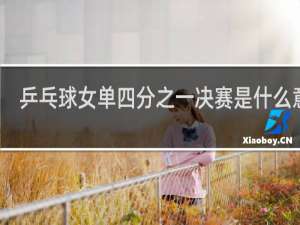 乒乓球女单四分之一决赛是什么意思
