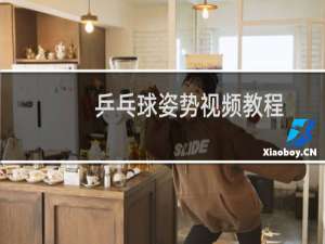 乒乓球姿势视频教程