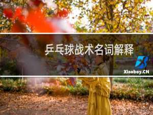 乒乓球战术名词解释