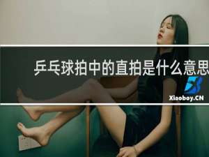 乒乓球拍中的直拍是什么意思