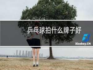 乒乓球拍什么牌子好