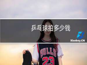 乒乓球拍多少钱