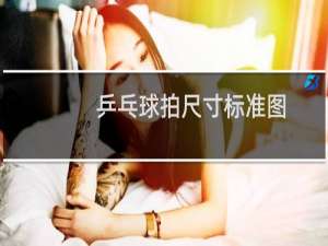 乒乓球拍尺寸标准图