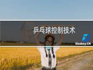 乒乓球控制技术