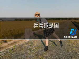 乒乓球是国