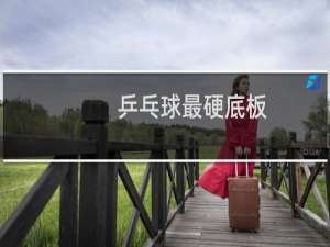 乒乓球最硬底板