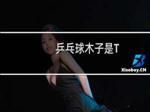 乒乓球木子是T