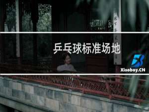 乒乓球标准场地