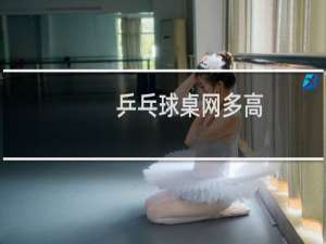 乒乓球桌网多高