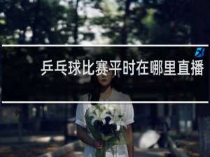 乒乓球比赛平时在哪里直播