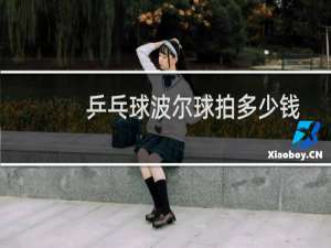 乒乓球波尔球拍多少钱