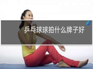 乒乓球球拍什么牌子好