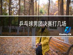 乒乓球男团决赛打几场