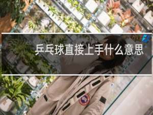乒乓球直接上手什么意思