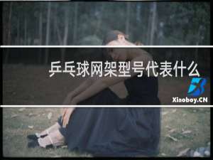 乒乓球网架型号代表什么