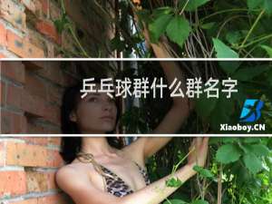 乒乓球群什么群名字