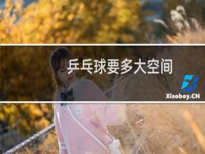 乒乓球要多大空间