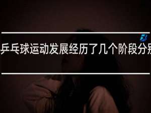 乒乓球运动发展经历了几个阶段分别说明