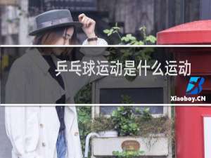 乒乓球运动是什么运动