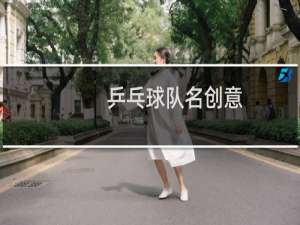 乒乓球队名创意