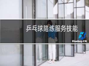 乒乓球陪练服务技能