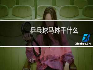 乒乓球马琳干什么