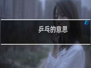 乒乓的意思