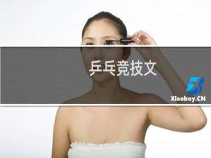 乒乓竞技文