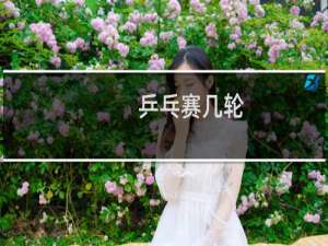 乒乓赛几轮
