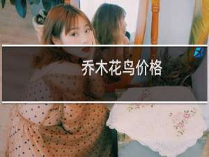 乔木花鸟价格