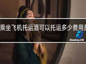 乘坐飞机托运酒可以托运多少费用是多少