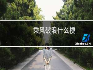 乘风破浪什么梗