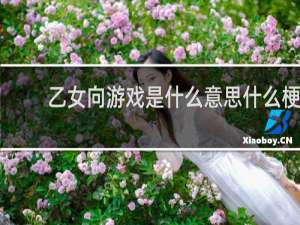 乙女向游戏是什么意思什么梗