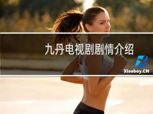 九丹电视剧剧情介绍
