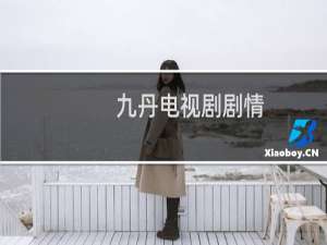 九丹电视剧剧情（电视剧九丹简介）