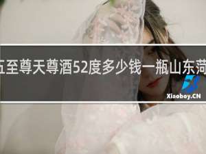 九五至尊天尊酒52度多少钱一瓶山东菏泽生产的