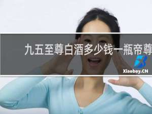 九五至尊白酒多少钱一瓶帝尊