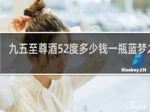 九五至尊酒52度多少钱一瓶蓝梦之都