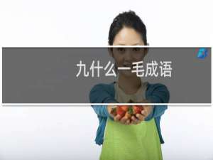 九什么一毛成语