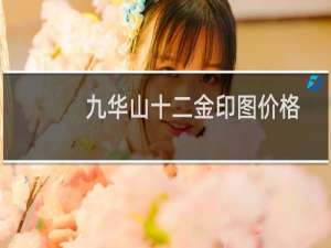 九华山十二金印图价格
