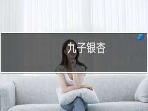 九子银杏