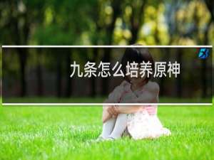 九条怎么培养原神