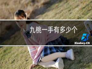 九桃一手有多少个
