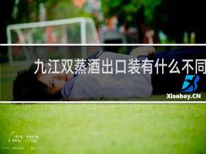 九江双蒸酒出口装有什么不同