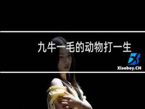 九牛一毛的动物打一生肖（九牛一毛的动物是啥）