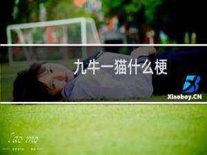 九牛一猫什么梗